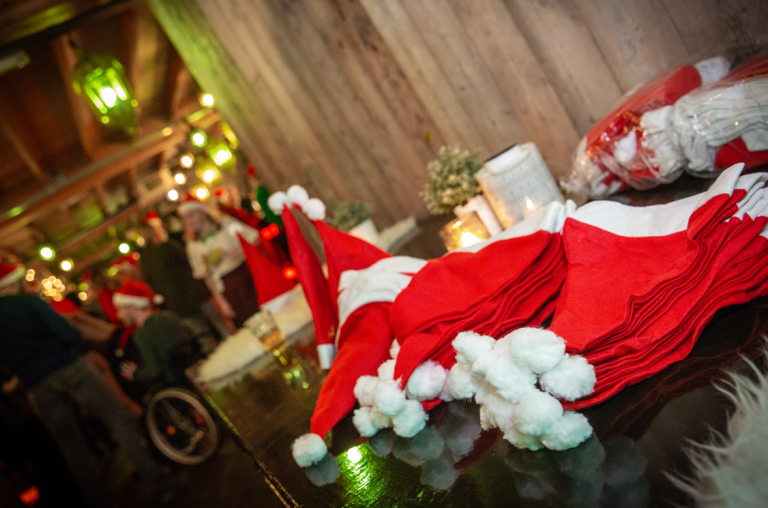 Kerstborrel bedrijf - Wintersfeer aan het meer